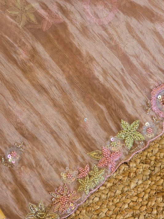 Tissue Saree For Sangeet And Carnival - 2