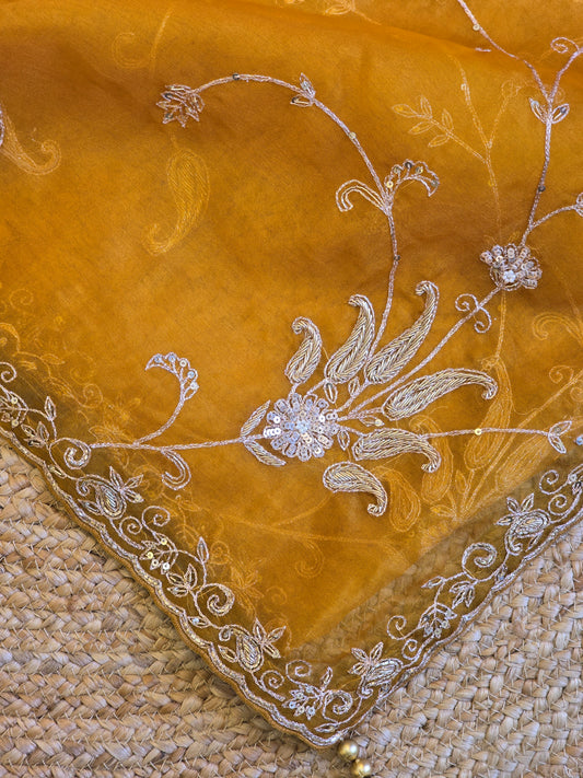 Organza Jaal Saree
