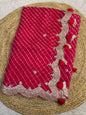 Pure Organza Lehriya
