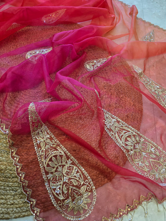 Organza Vintage Hand Work Saree