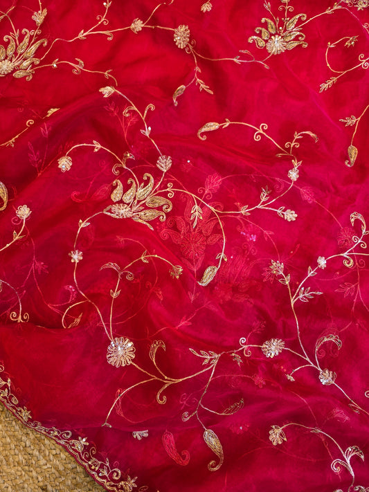 Organza Jaal Saree