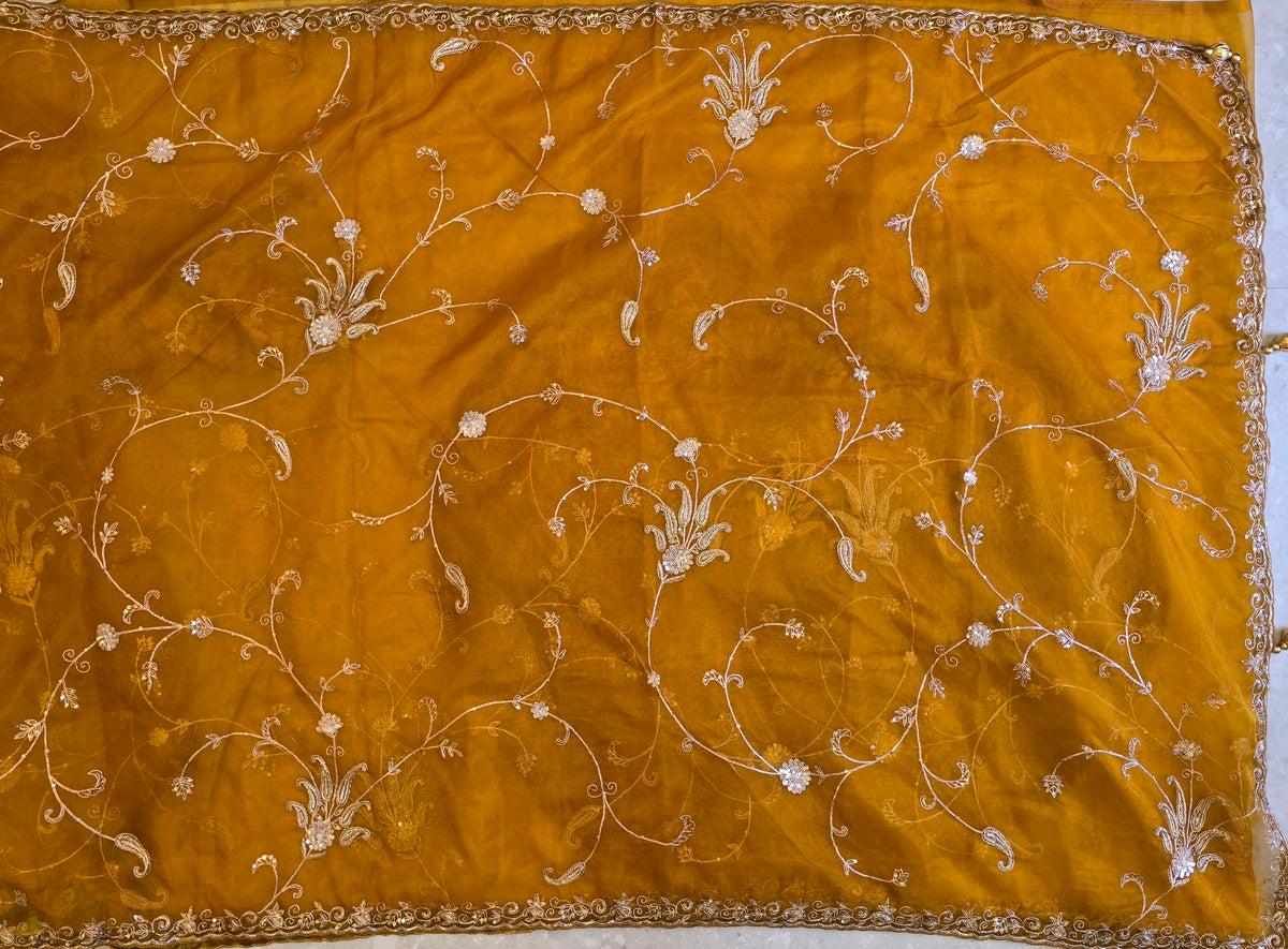 Organza Jaal Saree