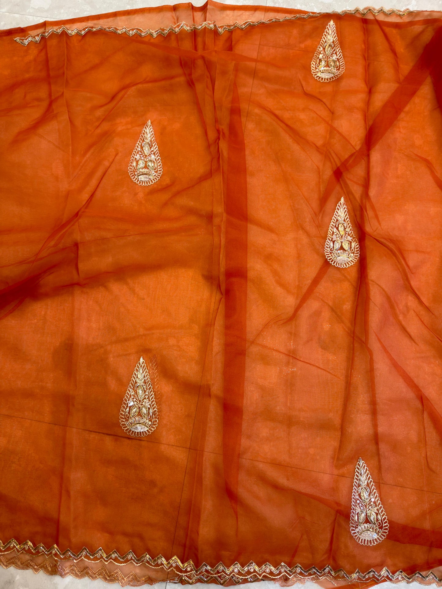 Organza Vintage Hand Work Saree