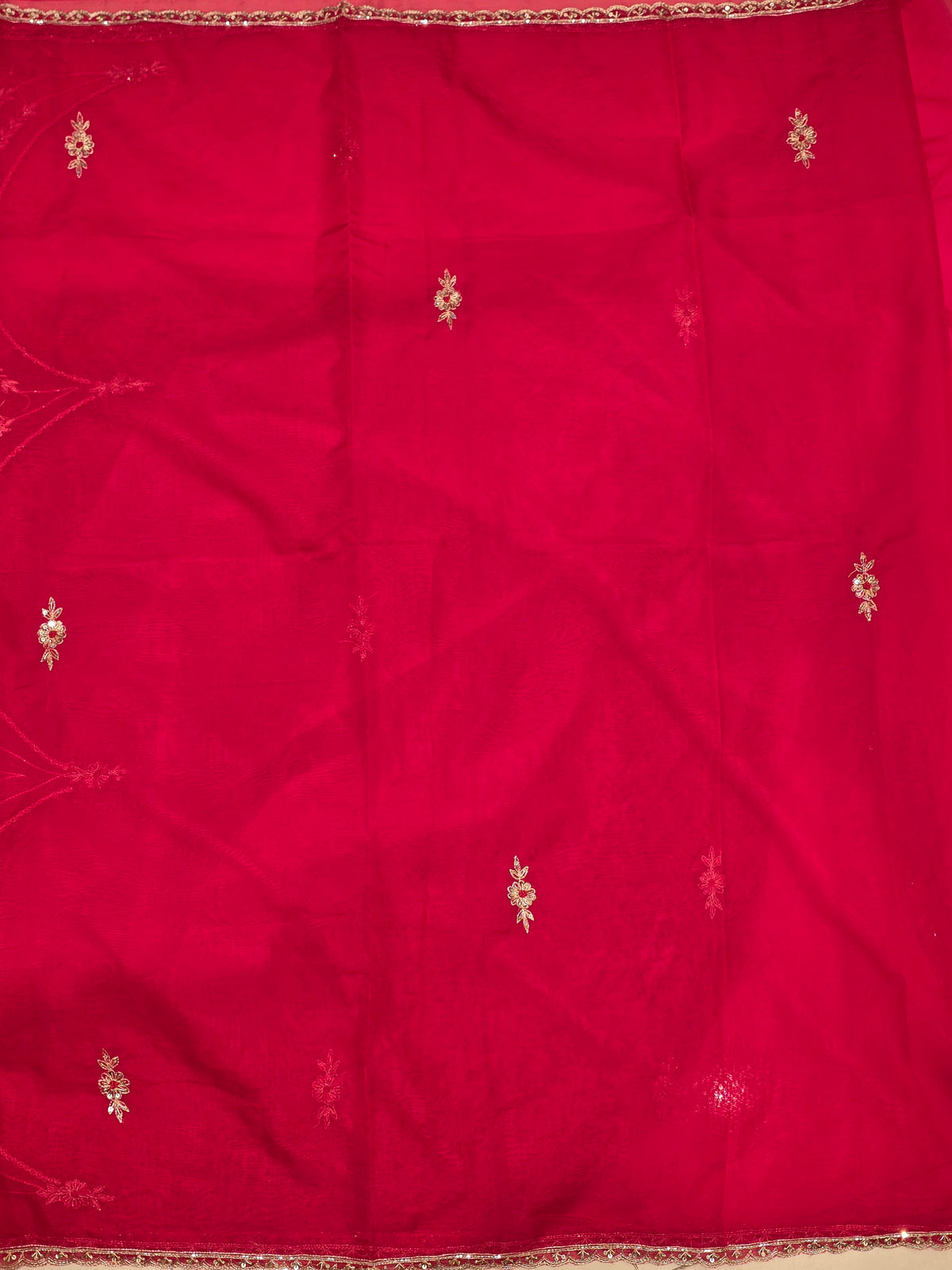 Organza Vintage Saree