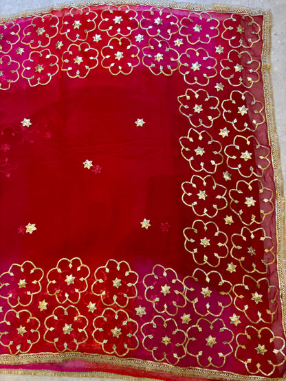 Kachi Gota Saree