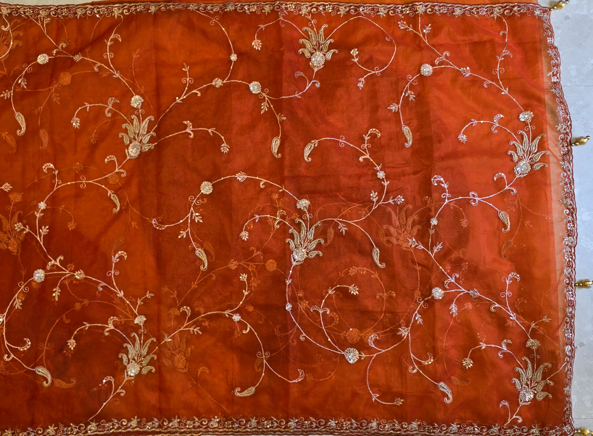 Organza Jaal Saree