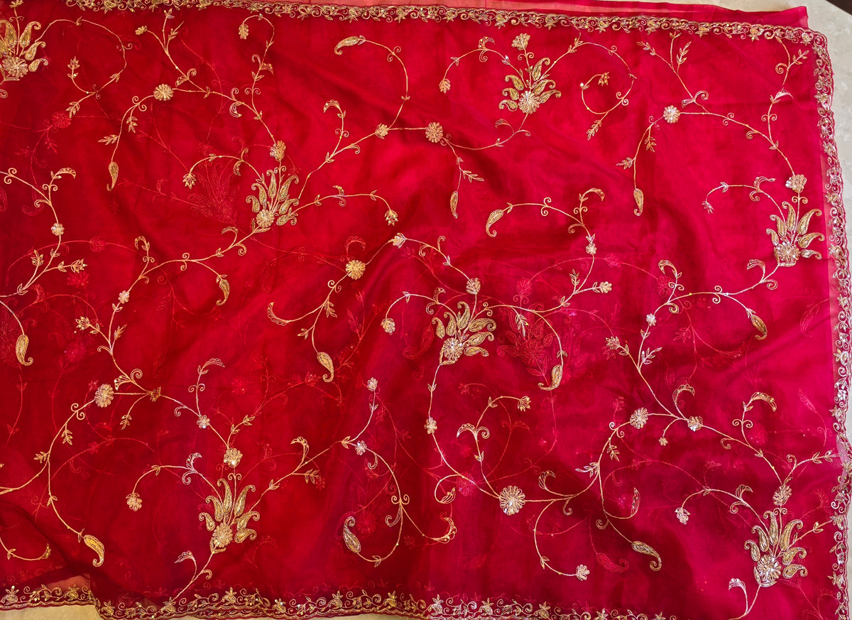 Organza Jaal Saree