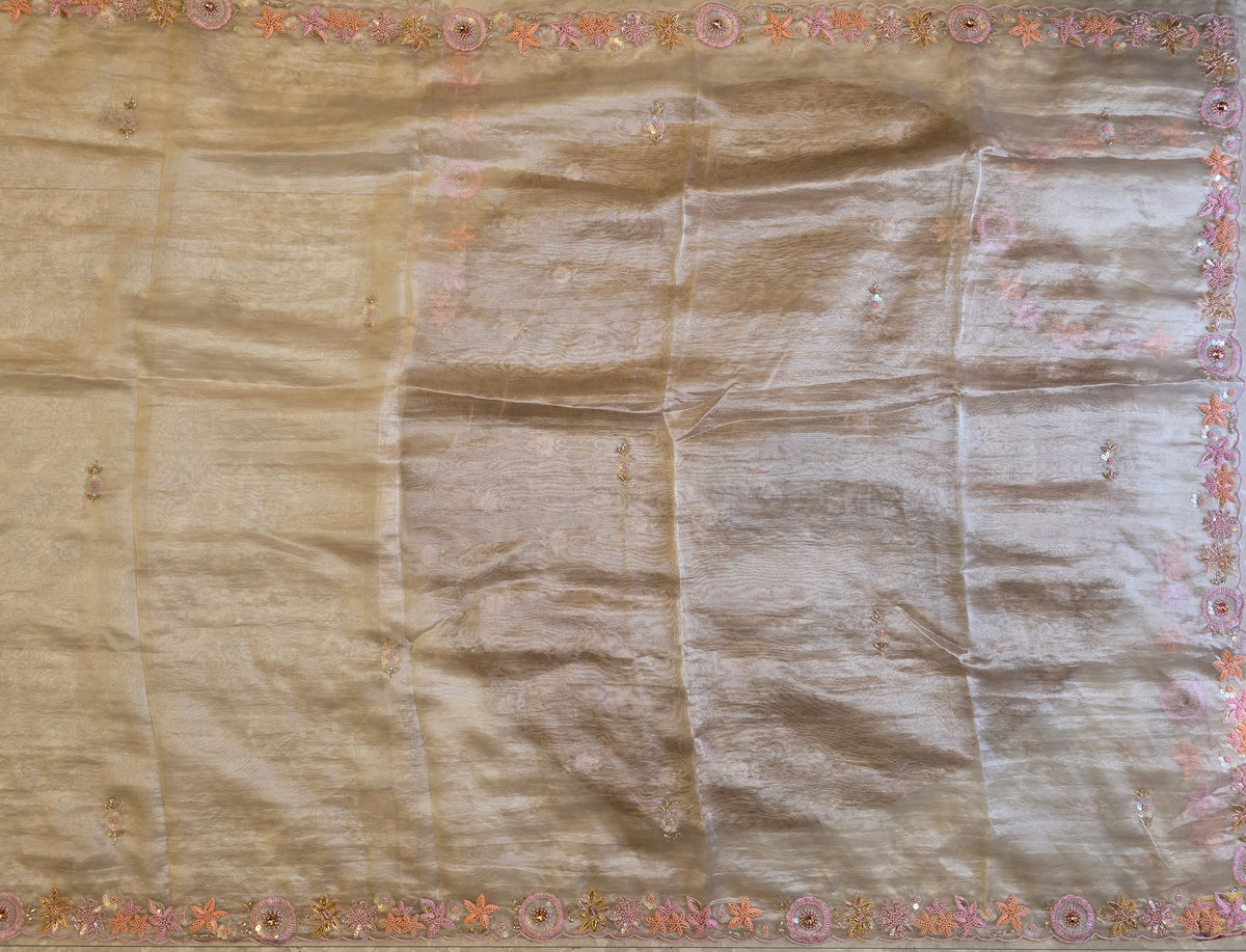 Tissue Saree For Sangeet And Carnival - 2
